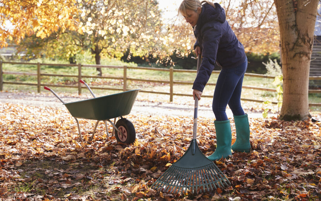 fall for autumn clean-up