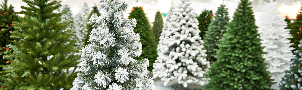 How To Choose The Perfect Christmas Tree - The Bruce Company - Middleton WI